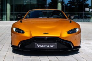 golden-saffron-vantage-3989